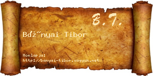 Bányai Tibor névjegykártya